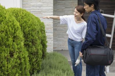 庭木の伐採、岡山で安心価格で対応！