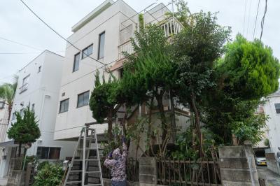 家の解体と庭木の伐採・撤去を依頼する？費用の目安と施主が行う段取り