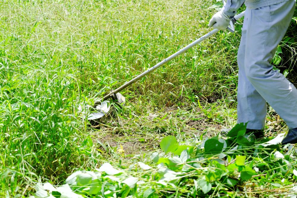 空き家を維持するための方法